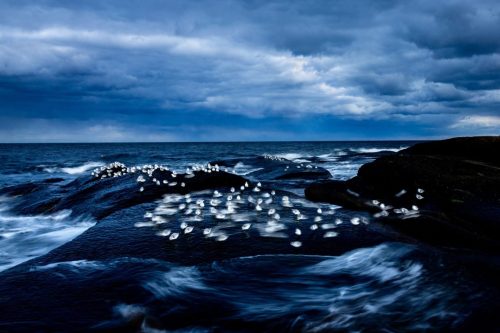 ©Maceo Susi