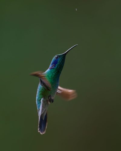 ©Simon Tolzmann